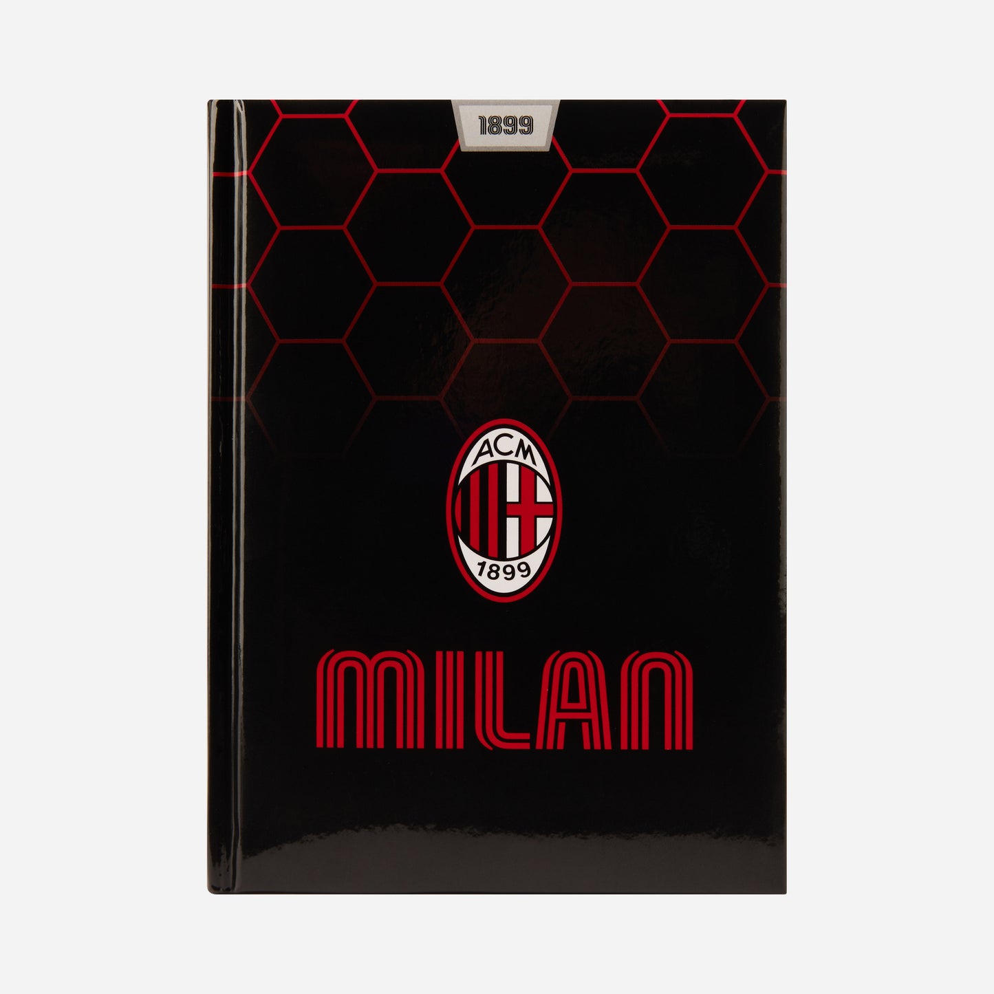 DIARIO 12 MESI SCUOLA