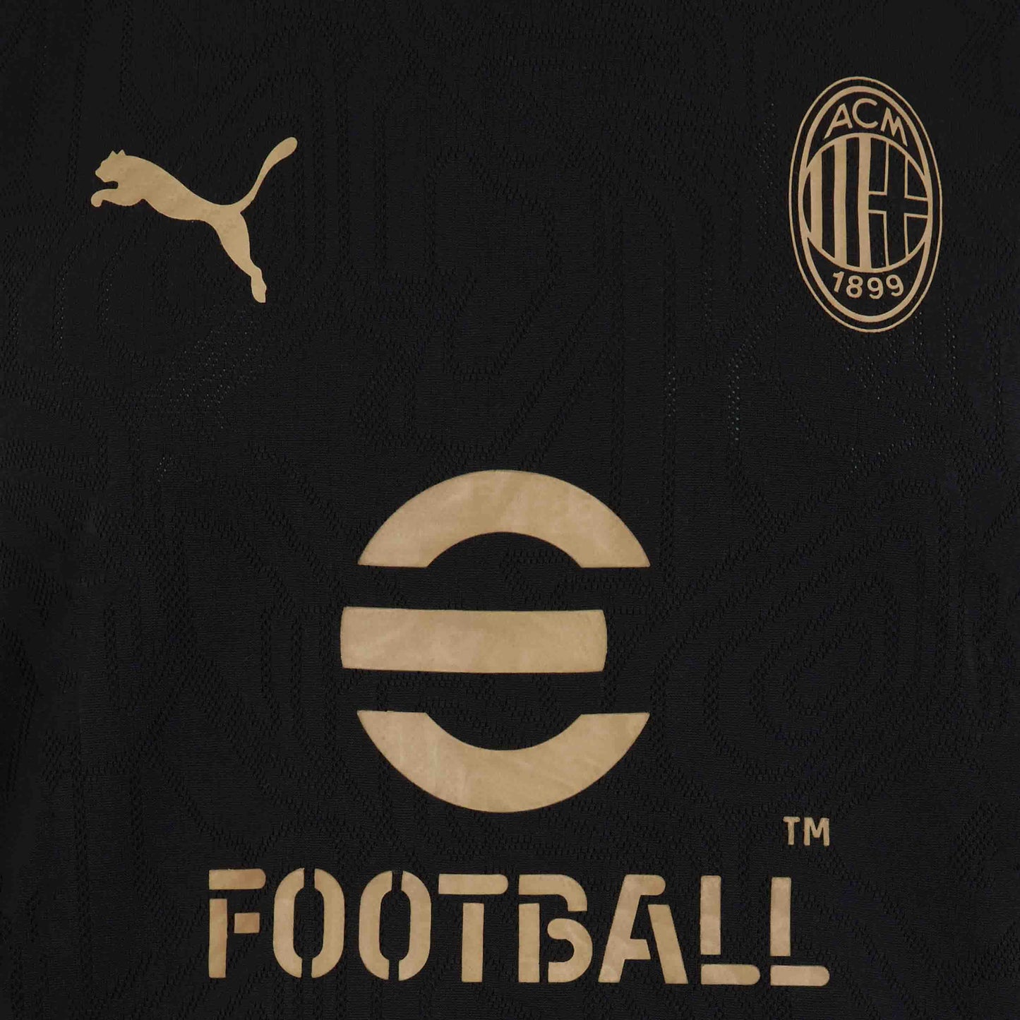 MILAN SLEEVELESS TRAINING 2024/25 JERSEY