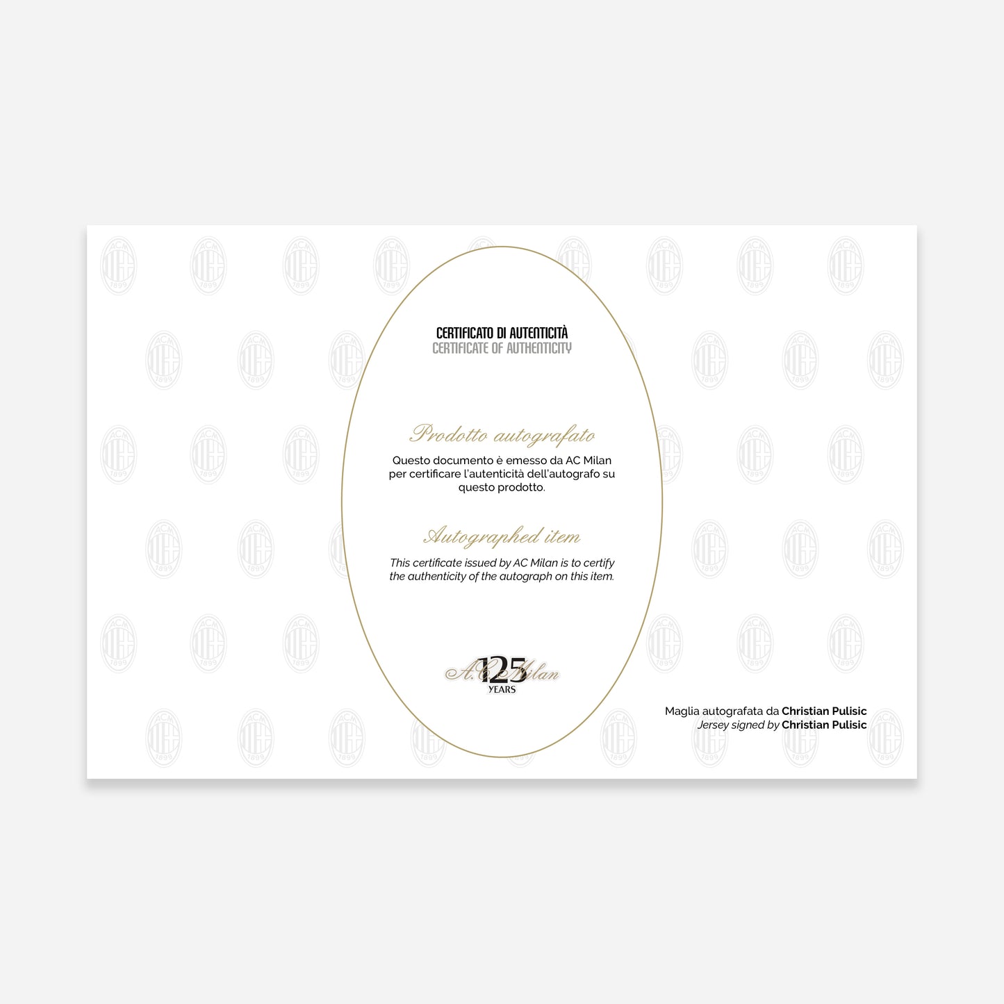 MAGLIA MILAN GARA THIRD 2024/25 FIRMATA DA PULISIC